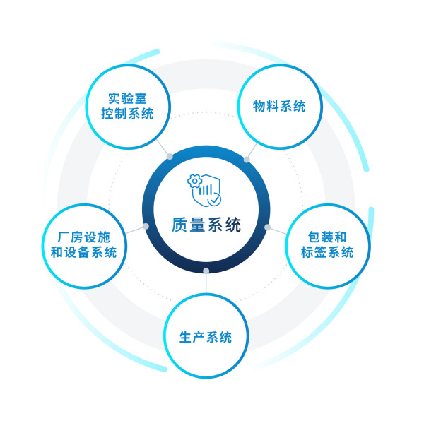 项目质量的保证措施